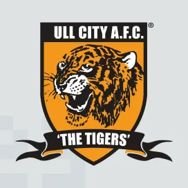 Hull city afc